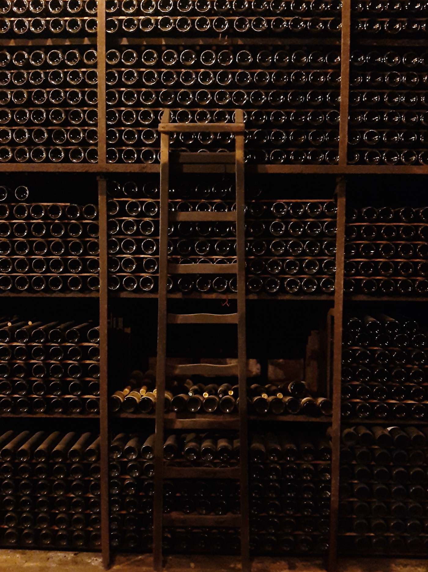 Invivo Wines